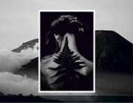 Impresion de PhotoBooks - Imagen 3